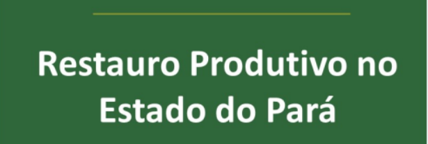 Logo Restauro Produtivo no Estado do Pará